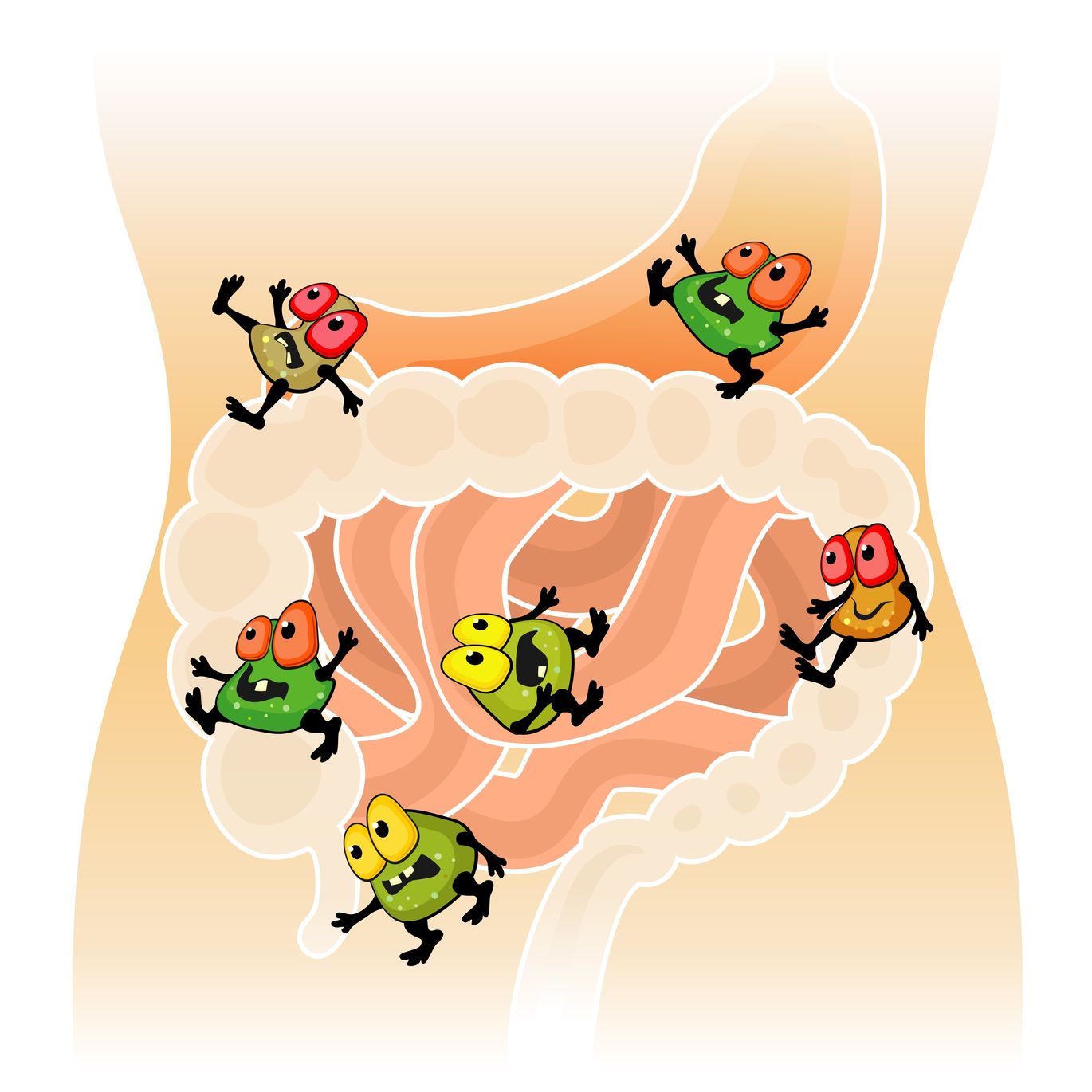 The Second Brain: Gut Flora and Why We Need It