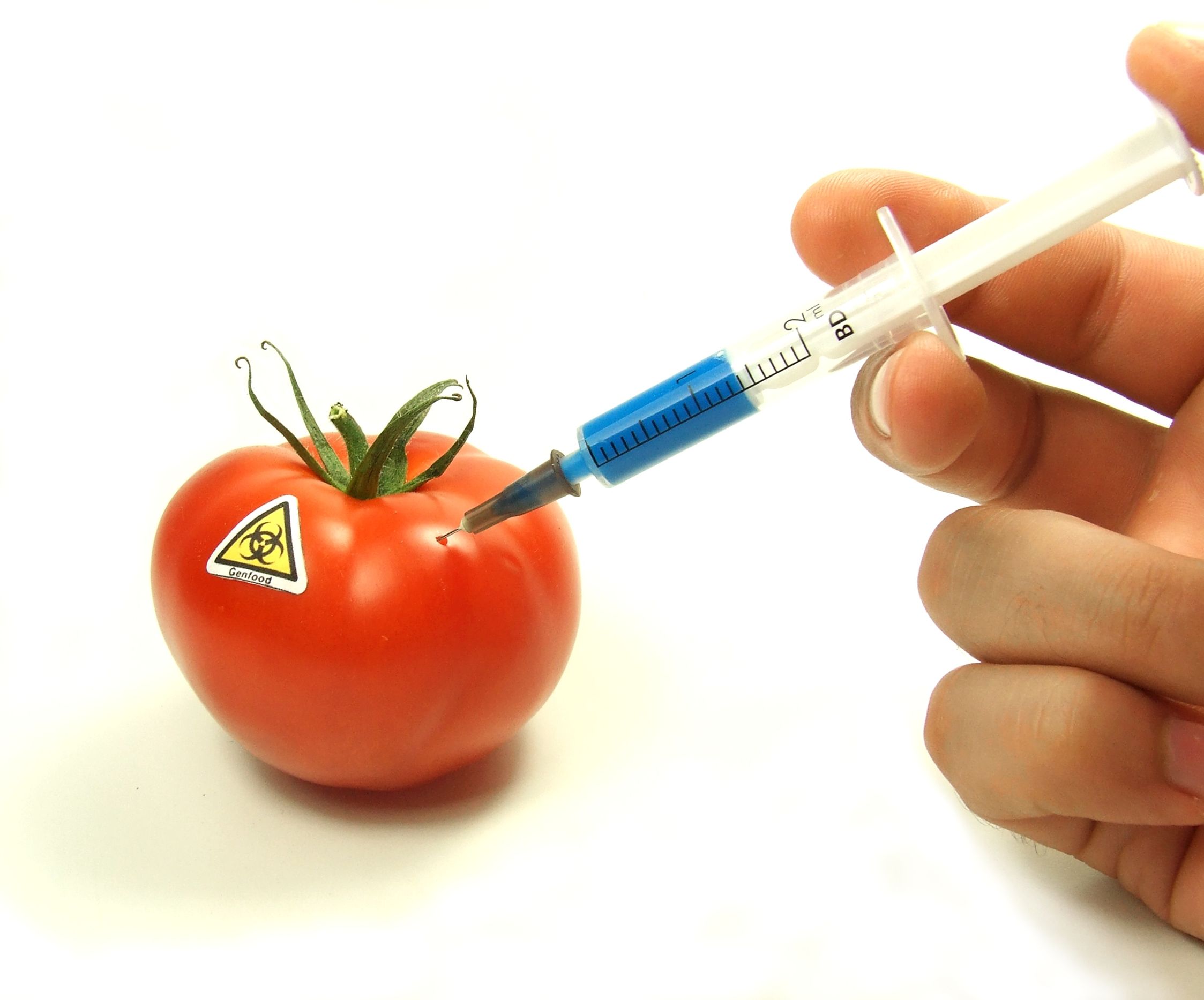 GMOs: A Primer
